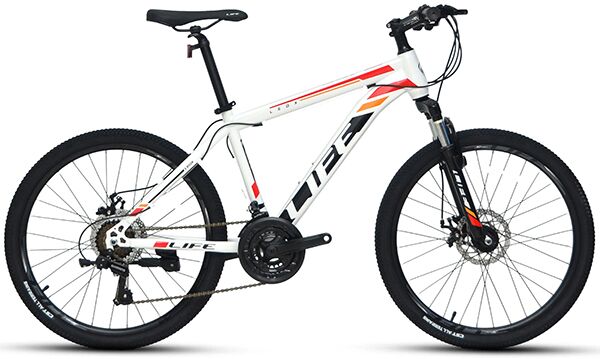 Xe đạp điện địa hình Life LEOX 24 2022